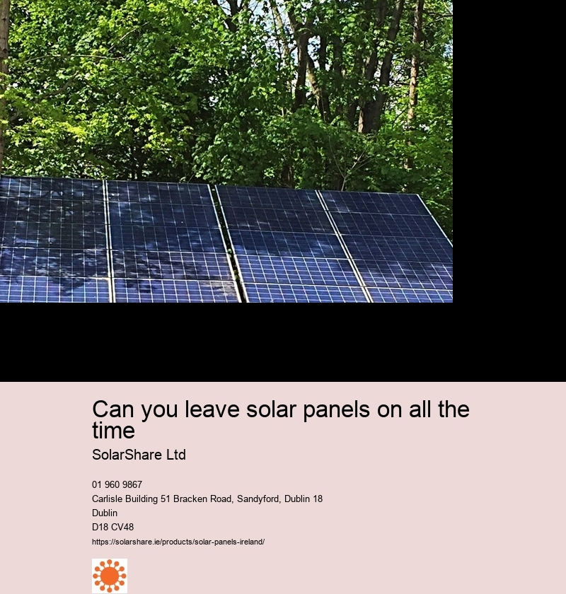 largest residential solar companies
